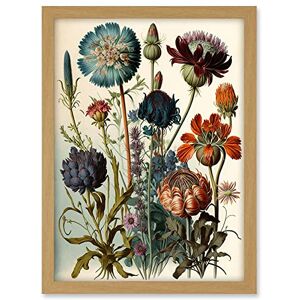 Artery8 Vintage Botanical Illustration Ernst Haeckel Inspired Plant Study Modern Watercolour Painting Artwork Framed A3 Wall Art Print Artery8 Vintage Botanical Illustration Ernst Haeckel Inspired Plant Study Modern Watercolour Painting Artwork Framed A3 Wall Art Print