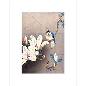 Wee Blue Coo Nature Japan Ohara Koson Bird Flower Picture Wall Art Print Wee Blue Coo Nature Japan Ohara Koson Bird Flower Picture Wall Art Print