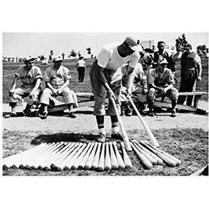 Wee Blue Coo Sport Photo Baseball Greenbelt Maryland Bat Bench USA Wall Art Print Wee Blue Coo Sport Photo Baseball Greenbelt Maryland Bat Bench USA Wall Art Print