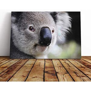 Big Box Art Koala Bear Canvas Print Gallery Wrapped 30mm Frame Wall Art 30x20 inches Ready to Hang Modern Animals Picture Living Room Bedroom Lounge Office Big Box Art Koala Bear Canvas Print Gallery Wrapped 30mm Frame Wall Art 30x20 inches Ready to Hang Modern Animals Picture Living Room Bedroom Lounge Office