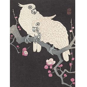 Artery8 Ohara Koson Two Cockatoo And Plum Blossom Painting Large XL Wall Art Canvas Print Artery8 Ohara Koson Two Cockatoo And Plum Blossom Painting Large XL Wall Art Canvas Print