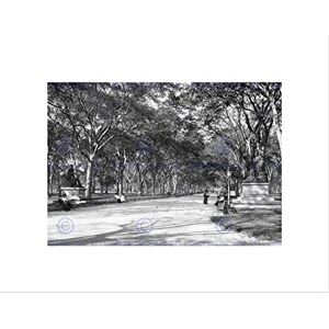 Wee Blue Coo LOWER END OF MALL CENTRAL PARK NY 1901 OLD BW BLACK FRAMED ART PRINT B12X291 Wee Blue Coo LOWER END OF MALL CENTRAL PARK NY 1901 OLD BW BLACK FRAMED ART PRINT B12X291