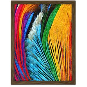 Doppelganger33 LTD Vibrant Rainbow Peacock Feather Abstract Macro Painting Artwork Framed Wall Art Print 18X24 inch Doppelganger33 LTD Vibrant Rainbow Peacock Feather Abstract Macro Painting Artwork Framed Wall Art Print 18X24 inch