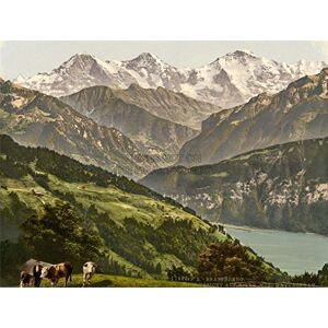 Wee Blue Coo Photography Beatenburg Jungfrau Monch Eiger Bernese Oberland Switzerland Mountain Cow Farm 30X40 Cms Fine Art Print Art Poster Bb8954 Wee Blue Coo Photography Beatenburg Jungfrau Monch Eiger Bernese Oberland Switzerland Mountain Cow Farm 30X40 Cms Fine Art Print Art Poster Bb8954