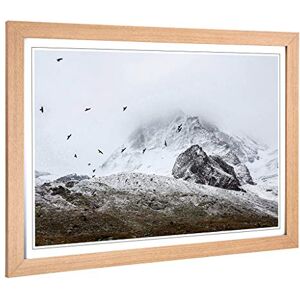 Big Box Art Framed Print of Birds in The Cold Fog Design Wall Art Picture Home Decor for Kitchen, Living, Dining Room, Lounge, Bedroom, Hallway, Office, Oak, A2 / 24.5x18 Inch / 62x45cm Big Box Art Framed Print of Birds in The Cold Fog Design Wall Art Picture Home Decor for Kitchen, Living, Dining Room, Lounge, Bedroom, Hallway, Office, Oak, A2 / 24.5x18 Inch / 62x45cm