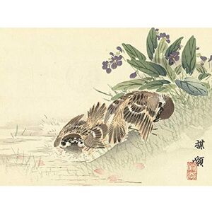 Artery8 Kono Bairei Bathing Tree Sparrow Japanese Woodblock Art Print Canvas Premium Wall Decor Poster Mural Artery8 Kono Bairei Bathing Tree Sparrow Japanese Woodblock Art Print Canvas Premium Wall Decor Poster Mural