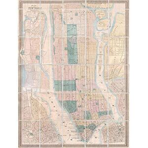 Wee Blue Coo Geography Map Illustrated Antique Dripps New York Art Print Poster Wall Decor 12X16 Inch Wee Blue Coo Geography Map Illustrated Antique Dripps New York Art Print Poster Wall Decor 12X16 Inch