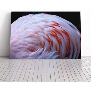 Big Box Art Pink Flamingo Bird (2) Canvas Print Gallery Wrapped 30mm Frame Wall Art 20x14 inches Ready to Hang Modern Animals Picture Living Room Bedroom Lounge Office Big Box Art Pink Flamingo Bird (2) Canvas Print Gallery Wrapped 30mm Frame Wall Art 20x14 inches Ready to Hang Modern Animals Picture Living Room Bedroom Lounge Office