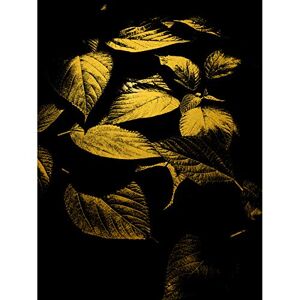 Artery8 Gold Effect Yellow Black Plant Leaves Abstract Flora Large Wall Art Poster Print Thick Paper 18X24 Inch Artery8 Gold Effect Yellow Black Plant Leaves Abstract Flora Large Wall Art Poster Print Thick Paper 18X24 Inch