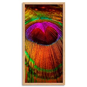 Wee Blue Coo Peacock Feather Close Up Long Panel Framed Wall Art Print Wee Blue Coo Peacock Feather Close Up Long Panel Framed Wall Art Print