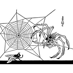 Fine Art Prints Artzybasheff Verotchka Spider Fly Web Illustration Large Wall Art Poster Print Thick Paper 18X24 Inch Fine Art Prints Artzybasheff Verotchka Spider Fly Web Illustration Large Wall Art Poster Print Thick Paper 18X24 Inch