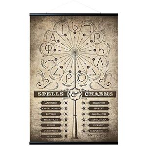 Grupo Erik Magnetic Wall Hanger + Poster Harry Potter Spells & Charms 36 x 24 inches / 91.5 x 61 cm Shipped Rolled Up Cool Posters, Art Poster, Wall Posters & Prints Grupo Erik Magnetic Wall Hanger + Poster Harry Potter Spells & Charms 36 x 24 inches / 91.5 x 61 cm Shipped Rolled Up Cool Posters, Art Poster, Wall Posters & Prints