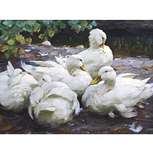 Fine Art Prints Koester Five White Ducks Resting Birds Nature Painting Unframed Wall Art Print Poster Home Decor Premium Fine Art Prints Koester Five White Ducks Resting Birds Nature Painting Unframed Wall Art Print Poster Home Decor Premium