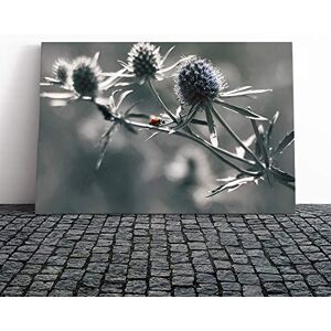 Big Box Art Ladybird Thistle Flower Canvas Print Gallery Wrapped 30mm Frame Wall Art 24x16 inches Ready to Hang Modern Animals Picture Living Room Bedroom Lounge Office Big Box Art Ladybird Thistle Flower Canvas Print Gallery Wrapped 30mm Frame Wall Art 24x16 inches Ready to Hang Modern Animals Picture Living Room Bedroom Lounge Office