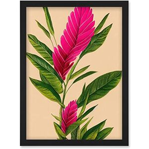 Wee Blue Coo Tropical Hawaiian Botanical Exotic Pink Floral illustration Artwork Framed Wall Art Print A4 Wee Blue Coo Tropical Hawaiian Botanical Exotic Pink Floral illustration Artwork Framed Wall Art Print A4