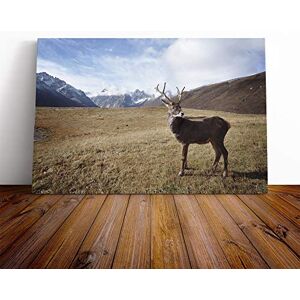 Big Box Art Canvas Print Wall Art Stag Deer Mountain Landscape Mounted and Stretched Box Frame Picture Home Decor for Kitchen, Living, Dining Room, Bedroom, Hallway, Multi-Colour, 30x20 Inch Big Box Art Canvas Print Wall Art Stag Deer Mountain Landscape Mounted and Stretched Box Frame Picture Home Decor for Kitchen, Living, Dining Room, Bedroom, Hallway, Multi-Colour, 30x20 Inch