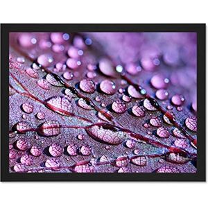 Fine Art Prints Water Droplets Leaf Macro Large Framed Art Print Poster Wall Decor 18x24 inch Fine Art Prints Water Droplets Leaf Macro Large Framed Art Print Poster Wall Decor 18x24 inch