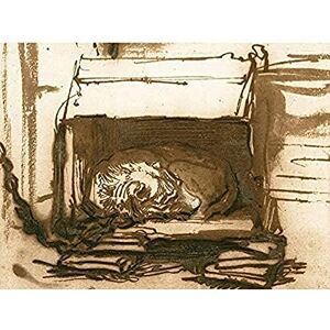 Fine Art Prints Rembrandt Sleeping Watchdog Art Print Canvas Premium Wall Decor Poster Mural Fine Art Prints Rembrandt Sleeping Watchdog Art Print Canvas Premium Wall Decor Poster Mural