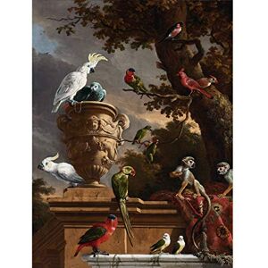 Artery8 Hondecoeter Menagerie Exotic Birds Parrots Painting Premium Wall Art Canvas Print 18X24 Inch Artery8 Hondecoeter Menagerie Exotic Birds Parrots Painting Premium Wall Art Canvas Print 18X24 Inch