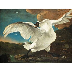 Fine Art Prints Asselijn The Threatened Swan Painting Large XL Wall Art Canvas Print Fine Art Prints Asselijn The Threatened Swan Painting Large XL Wall Art Canvas Print