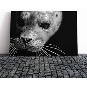 Big Box Art Seal Canvas Print Gallery Wrapped 30mm Frame Wall Art 20x14 inches Ready to Hang Modern Animals Picture Living Room Bedroom Lounge Office Big Box Art Seal Canvas Print Gallery Wrapped 30mm Frame Wall Art 20x14 inches Ready to Hang Modern Animals Picture Living Room Bedroom Lounge Office
