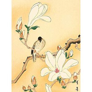 Fine Art Prints Seitei Bird Magnolia Branch Japanese Painting Art Print Canvas Premium Wall Decor Poster Mural Fine Art Prints Seitei Bird Magnolia Branch Japanese Painting Art Print Canvas Premium Wall Decor Poster Mural