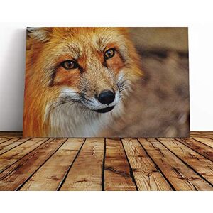 Big Box Art Red Fox (5) Canvas Print Gallery Wrapped 30mm Frame Wall Art 20x14 inches Ready to Hang Modern Animals Picture Living Room Bedroom Lounge Office Big Box Art Red Fox (5) Canvas Print Gallery Wrapped 30mm Frame Wall Art 20x14 inches Ready to Hang Modern Animals Picture Living Room Bedroom Lounge Office