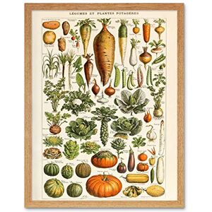 Artery8 Millot Encyclopedia Page Vegetables Legumes Art Print Framed Poster Wall Decor 12x16 inch Artery8 Millot Encyclopedia Page Vegetables Legumes Art Print Framed Poster Wall Decor 12x16 inch
