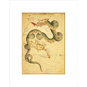 Wee Blue Coo PAINTINGS DRAWING STAR MAP DRAGON GREAT BEAR NEW FRAMED ART PRINT B12X10919 Wee Blue Coo PAINTINGS DRAWING STAR MAP DRAGON GREAT BEAR NEW FRAMED ART PRINT B12X10919