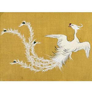 Artery8 Kamisaka Sekka White Phoenix Bird Japanese Painting Large Wall Art Poster Print Thick Paper 18X24 Inch Artery8 Kamisaka Sekka White Phoenix Bird Japanese Painting Large Wall Art Poster Print Thick Paper 18X24 Inch