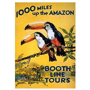 Wee Blue Coo Amazon Toucan River Brazil Jungle Rain Forest Picture Wall Art Print Wee Blue Coo Amazon Toucan River Brazil Jungle Rain Forest Picture Wall Art Print