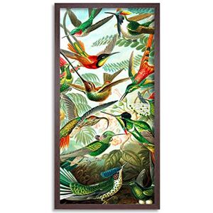 Wee Blue Coo Haeckel Hummingbirds Detail Long Panel Framed Wall Art Print Wee Blue Coo Haeckel Hummingbirds Detail Long Panel Framed Wall Art Print