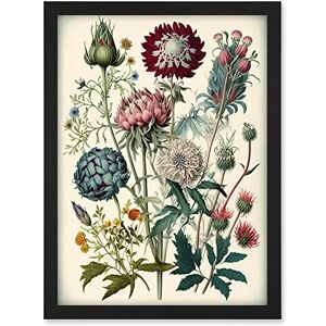Artery8 Ernst Haeckel Style Vintage Botanical Plant Study Modern Watercolour Painting Illustration Artwork Framed A3 Wall Art Print Artery8 Ernst Haeckel Style Vintage Botanical Plant Study Modern Watercolour Painting Illustration Artwork Framed A3 Wall Art Print