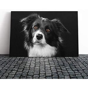 Big Box Art Border Collie Dog Vol.2 Canvas Print Gallery Wrapped 30mm Frame Wall Art 24x16 inches Ready to Hang Modern Animals Picture Living Room Bedroom Lounge Office Big Box Art Border Collie Dog Vol.2 Canvas Print Gallery Wrapped 30mm Frame Wall Art 24x16 inches Ready to Hang Modern Animals Picture Living Room Bedroom Lounge Office