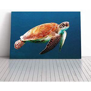 Big Box Art Sea Turtle Vol.3 Canvas Print Gallery Wrapped 30mm Frame Wall Art 24x16 inches Ready to Hang Modern Animals Picture Living Room Bedroom Lounge Office Big Box Art Sea Turtle Vol.3 Canvas Print Gallery Wrapped 30mm Frame Wall Art 24x16 inches Ready to Hang Modern Animals Picture Living Room Bedroom Lounge Office