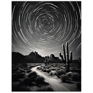 Artery8 Moon And Star Time Lapse Trails Stars Tracing Their Journey Across The Sky Desert Cactus Large Wall Art Poster Print Thick Paper 18X24 Inch Artery8 Moon And Star Time Lapse Trails Stars Tracing Their Journey Across The Sky Desert Cactus Large Wall Art Poster Print Thick Paper 18X24 Inch