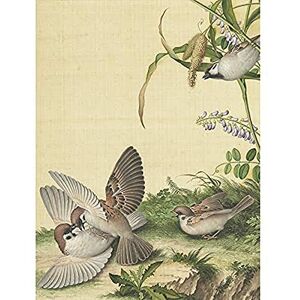 Fine Art Prints Castiglione Wisteria Plant Birds Painting Unframed Wall Art Print Poster Home Decor Premium Fine Art Prints Castiglione Wisteria Plant Birds Painting Unframed Wall Art Print Poster Home Decor Premium