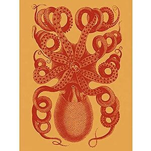 Fine Art Prints Octopus Coral Yellow Art Print Canvas Premium Wall Decor Poster Fine Art Prints Octopus Coral Yellow Art Print Canvas Premium Wall Decor Poster
