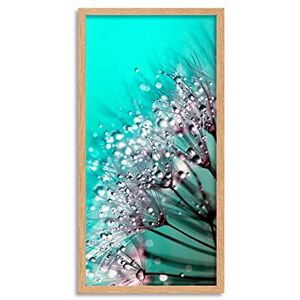 Wee Blue Coo Water Droplets Flower Heads Long Panel Framed Wall Art Print Wee Blue Coo Water Droplets Flower Heads Long Panel Framed Wall Art Print