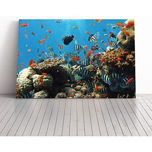 Big Box Art Fish Coral Reef Canvas Print Gallery Wrapped 30mm Frame Wall Art 30x20 inches Ready to Hang Modern Animals Picture Living Room Bedroom Lounge Office Big Box Art Fish Coral Reef Canvas Print Gallery Wrapped 30mm Frame Wall Art 30x20 inches Ready to Hang Modern Animals Picture Living Room Bedroom Lounge Office