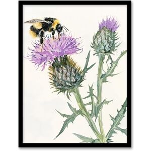 Artery8 Watercolour Bumblebee on Scottish Thistle Flower Living Room Artwork Framed Wall Art Print A4 Artery8 Watercolour Bumblebee on Scottish Thistle Flower Living Room Artwork Framed Wall Art Print A4
