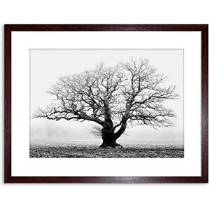 Wee Blue Coo Oak Tree B&W Mist Fog Photo Framed Wall Art Print Wee Blue Coo Oak Tree B&W Mist Fog Photo Framed Wall Art Print