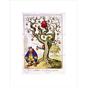 Wee Blue Coo Satire John Bull Satan French Revolution Apple Tree Wall Art Print Wee Blue Coo Satire John Bull Satan French Revolution Apple Tree Wall Art Print