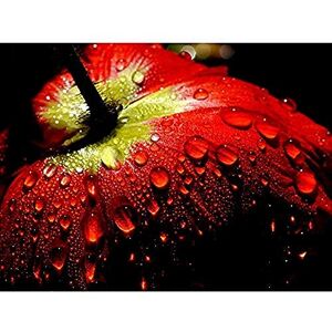 Wee Blue Coo Tulip Close Up Macro Raindrops Unframed Art Print Poster Wall Decor 12x16 inch Wee Blue Coo Tulip Close Up Macro Raindrops Unframed Art Print Poster Wall Decor 12x16 inch