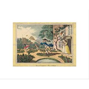 Wee Blue Coo Thomas Rowlandson British Butterfly Hunting Wall Art Print Wee Blue Coo Thomas Rowlandson British Butterfly Hunting Wall Art Print