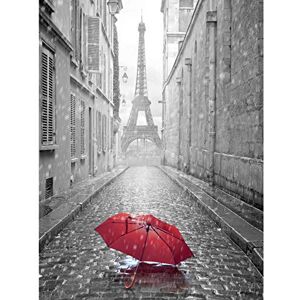 Fine Art Prints Eiffel Tower In Paris Red Umbrella Large Wall Art Print Canvas Premium Poster Fine Art Prints Eiffel Tower In Paris Red Umbrella Large Wall Art Print Canvas Premium Poster
