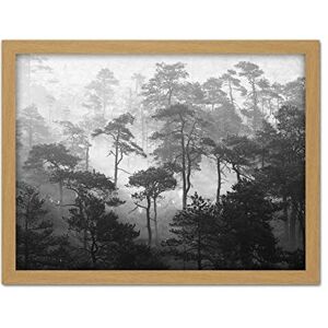 Fine Art Prints Oja Lindi Nature Reserve Estonia Forest Trees Photo Artwork Framed Wall Art Print 18X24 Inch Fine Art Prints Oja Lindi Nature Reserve Estonia Forest Trees Photo Artwork Framed Wall Art Print 18X24 Inch
