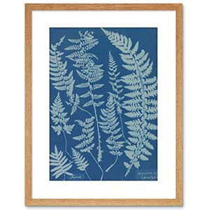 Wee Blue Coo Vintage Photo Anna Atkins Ferns Cyanotype Zoology Framed Wall Art Print Wee Blue Coo Vintage Photo Anna Atkins Ferns Cyanotype Zoology Framed Wall Art Print