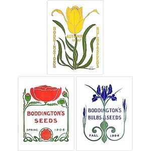 Wee Blue Coo Pack of 3 Boddington Bulbs and Seeds 1906 Yellow Autumn Red Spring Blue Fall Vintage Ad Poster Unframed Wall Art Living Room Prints Set Wee Blue Coo Pack of 3 Boddington Bulbs and Seeds 1906 Yellow Autumn Red Spring Blue Fall Vintage Ad Poster Unframed Wall Art Living Room Prints Set