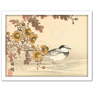 Artery8 Kono Bairei Wagtail Bird Flowers Japanese Woodblock Artwork Framed Wall Art Print 18X24 Inch Artery8 Kono Bairei Wagtail Bird Flowers Japanese Woodblock Artwork Framed Wall Art Print 18X24 Inch